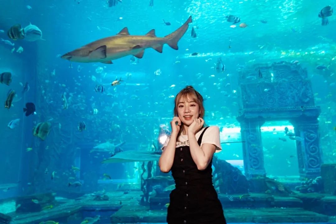 水世界海世界欢乐部落,桂林欢乐谷和融创海世界攻略