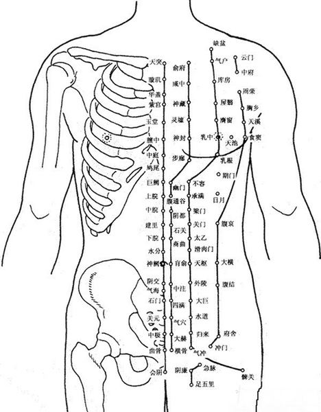 把穴位像药物一样分类后，运用竟如此简单