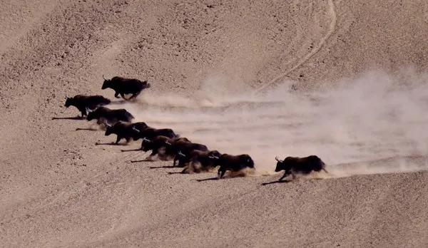 在外地打工十年能挣多少钱,西藏打工真实收入