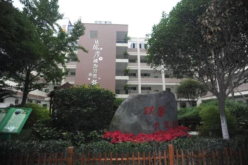 成华区排名前五的小学,成都市成华区有哪些好的小学
