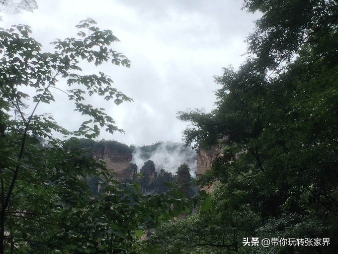 到张家界天门山自助游价格多少钱,武汉到张家界天门山三日游
