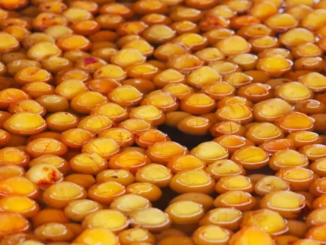 大理的一棵梅花,一棵大理梅品百味解千愁