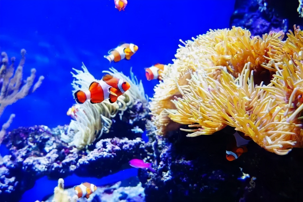 郑州地铁1号线沿线景点,郑州地铁三号线沿线各景点