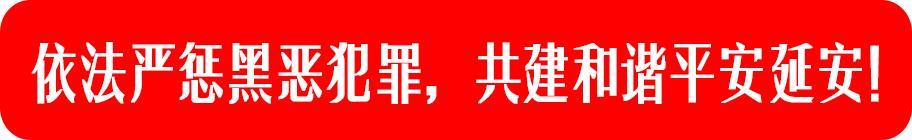 新时代好少年先进事迹范文,新时代好少年先进事迹观后感