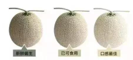 水果界新晋“网红”大盘点，2019年水果圈不为人知的赚钱新商机