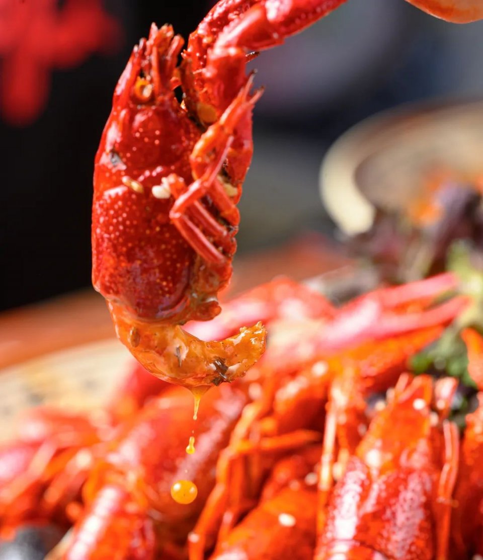 巴掌大小龙虾,深夜爆香小龙虾