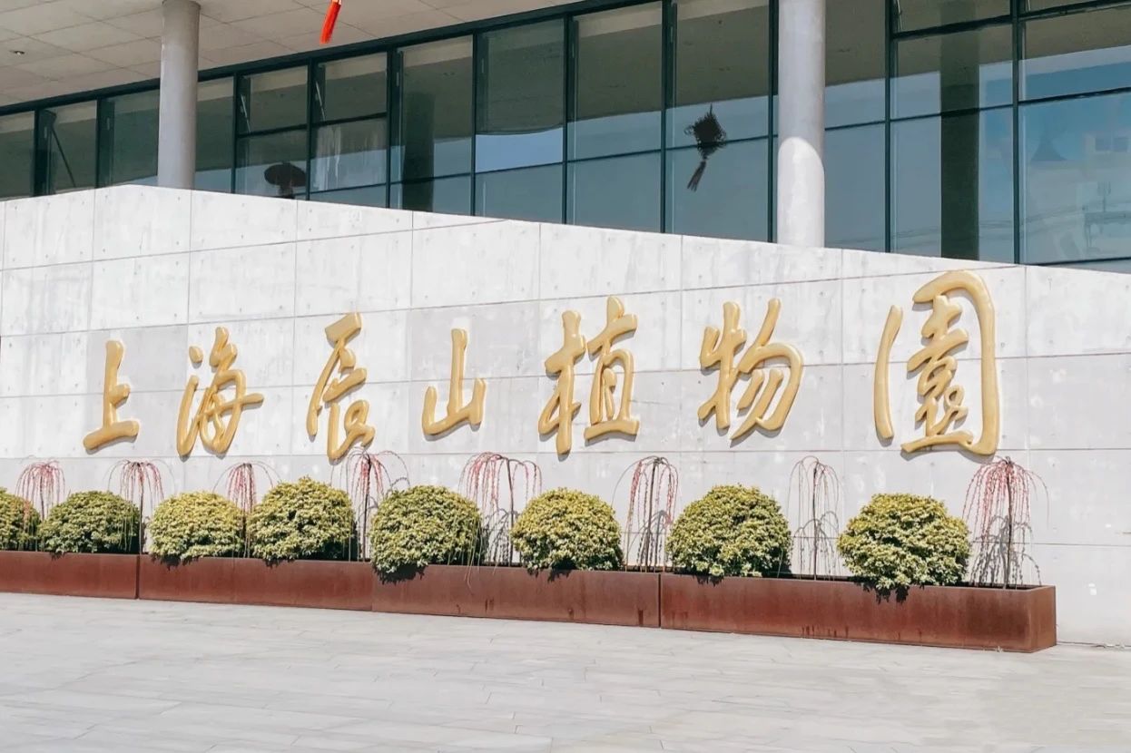 上海的热搜,最近热搜的上海