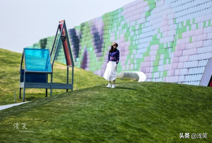 芬芳之人方能遇到芬芳之心，郁金香开成了荷兰花海