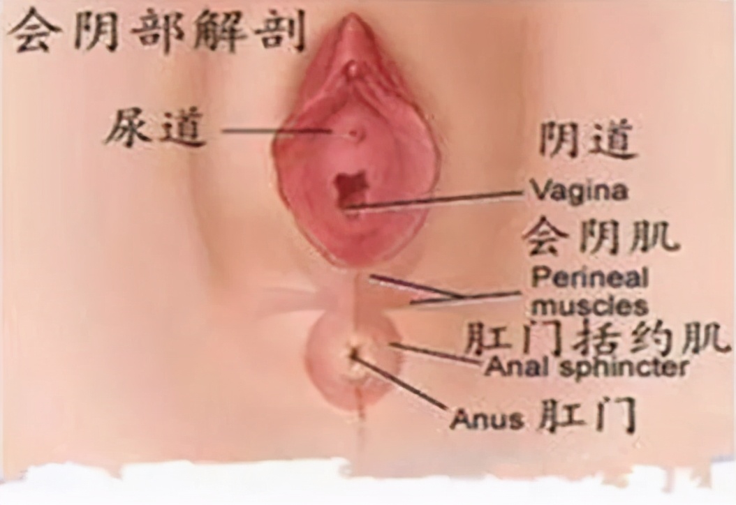 顺产侧切会不会留下后遗症？真相是？