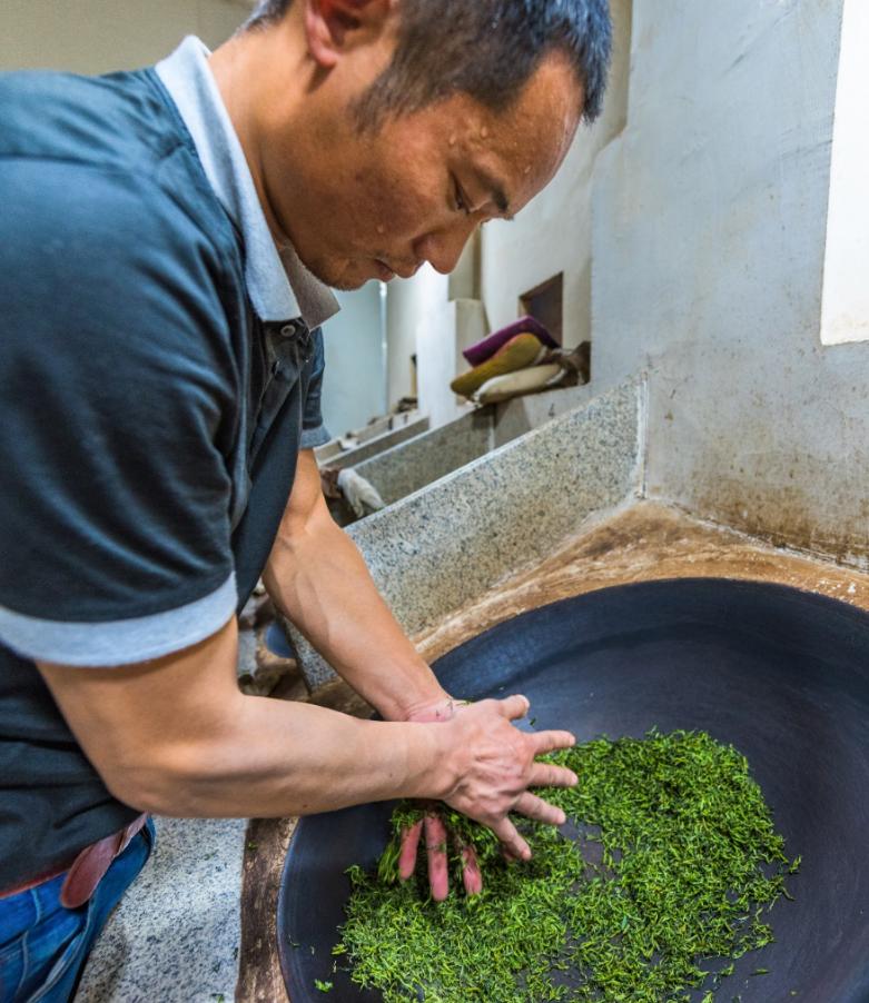 碧螺春红茶上市时间表图片,碧螺春明前茶什么时间上市
