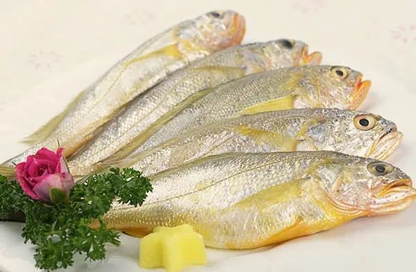 荣成哪种海鲜最值得信赖,荣成海鲜市场最大的螃蟹有多大