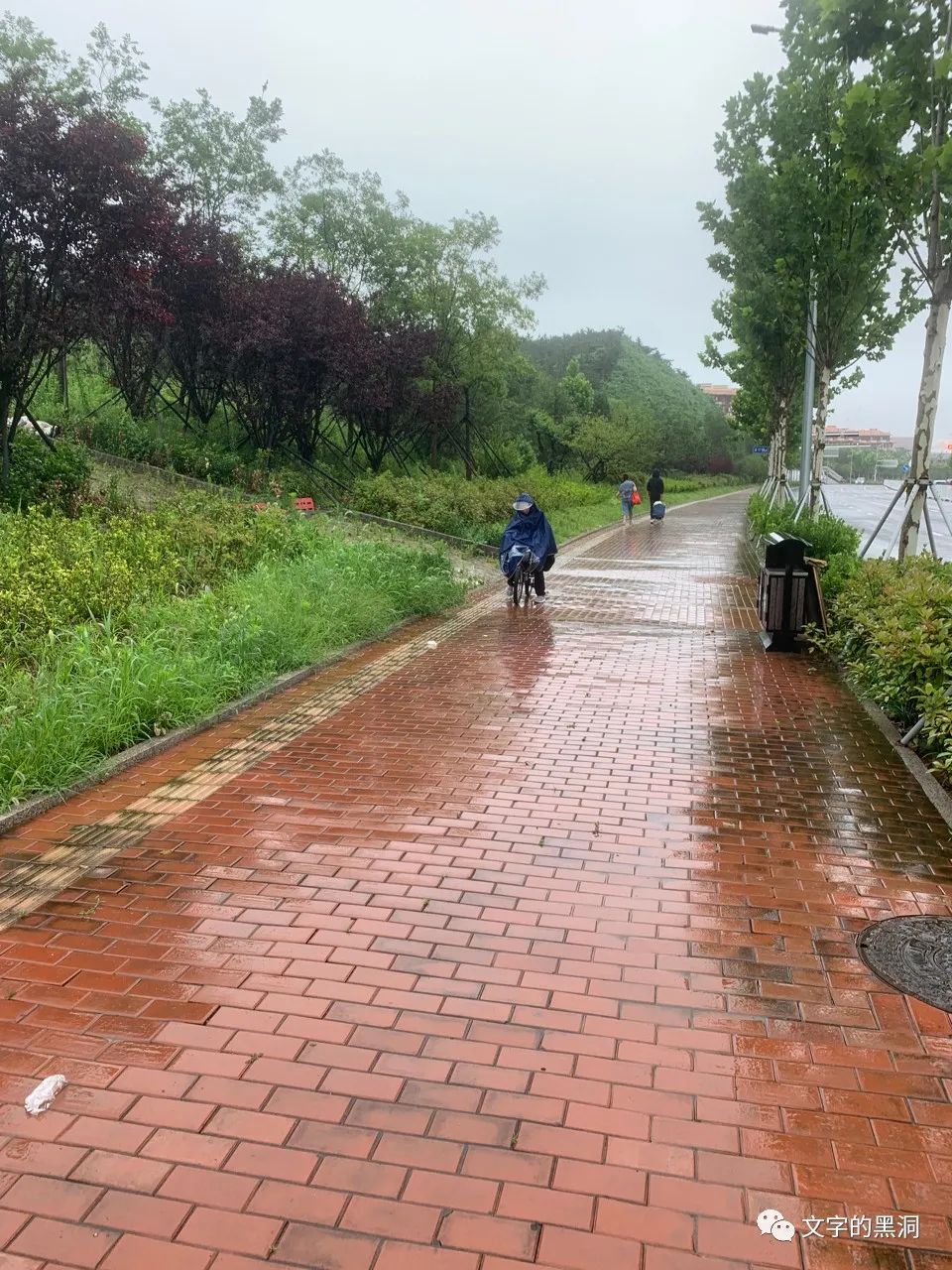 爸爸亲子夏令营,父子暑假旅行