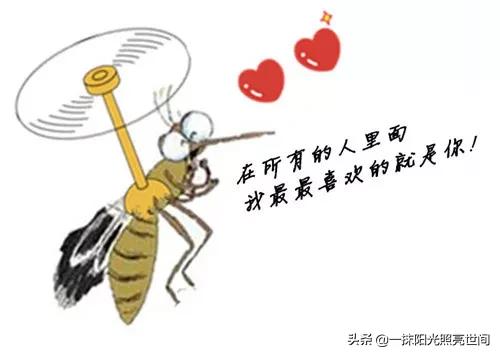 农村生活有几个人能懂,农村你了解多少