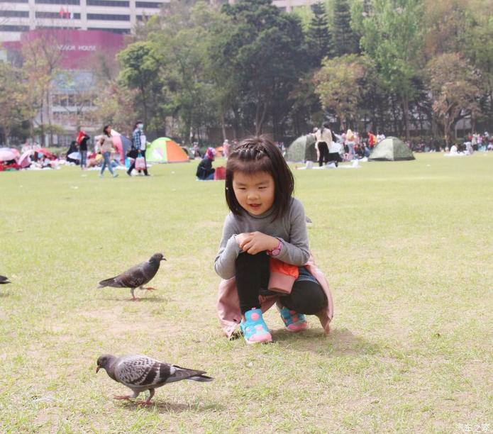 团队自驾游南澳岛旅游攻略,自驾广州长隆3天2夜亲子游攻略