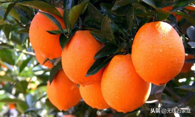 高铁达速跨越西安北,高铁达速跨越徐州东