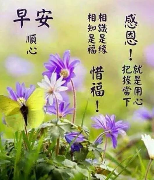 面对烦恼一笑而过是一种平和释然,面对忧愁烦恼要学会一笑置之