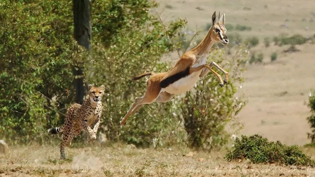 假期儿童纪录片推荐经典,青少年假期推荐纪录片