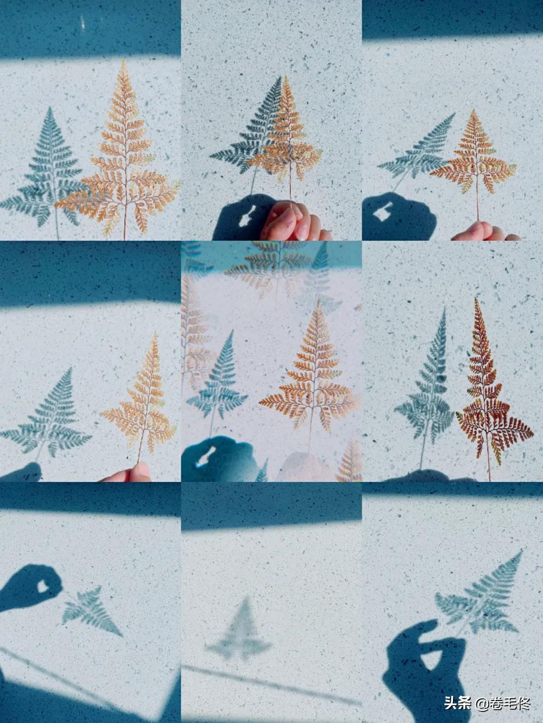 手机拍大片人像,如何拍手机照片最好看