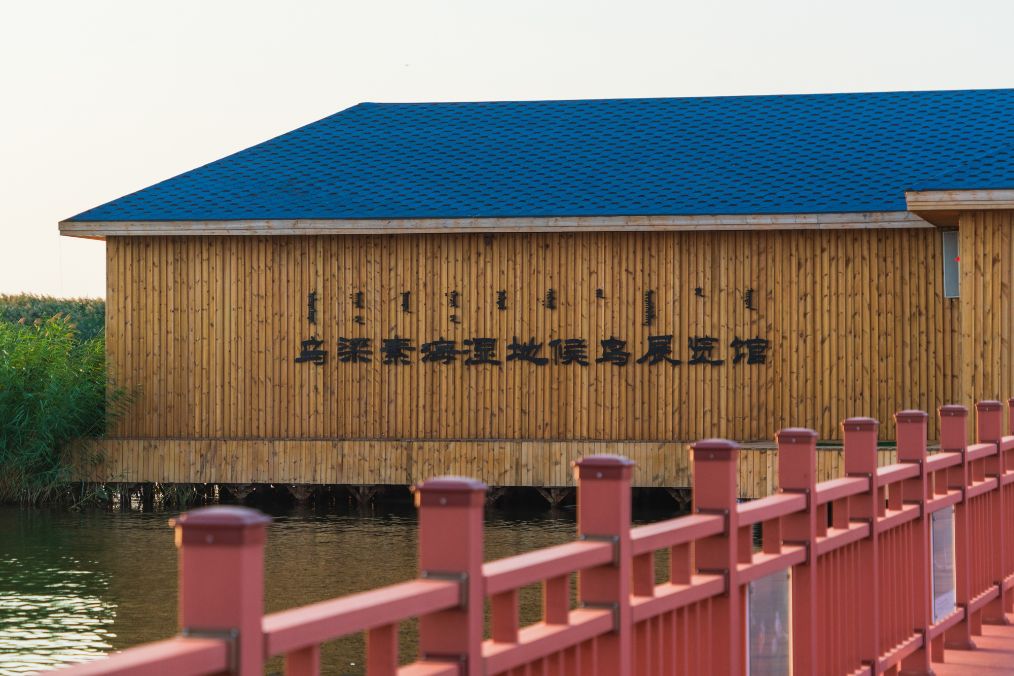 她是滔滔千里黄河的宠儿，阴山之下、河套之上的掌上明珠