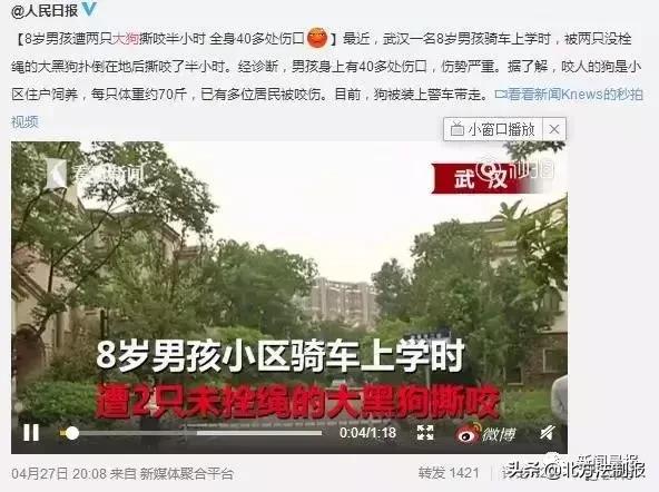 女子遛3只狗不牵绳！湖北男子遭狗撕咬*体下**受伤严重，缝了30多针