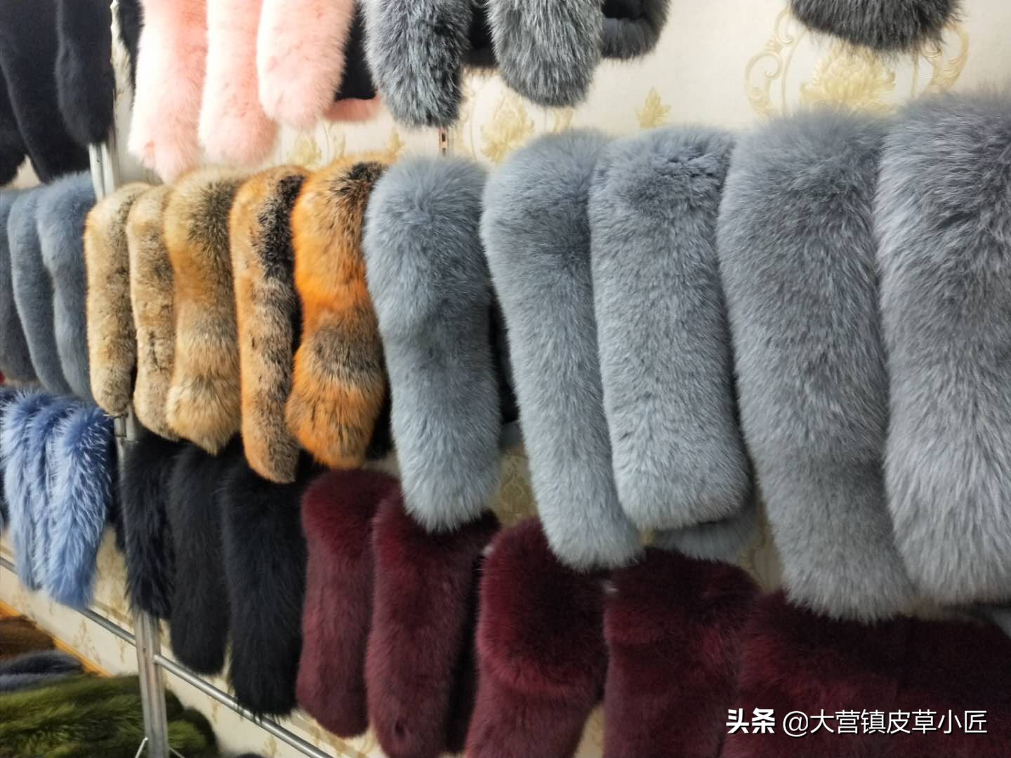 狐狸毛颜色排行,狐狸毛新品鉴赏