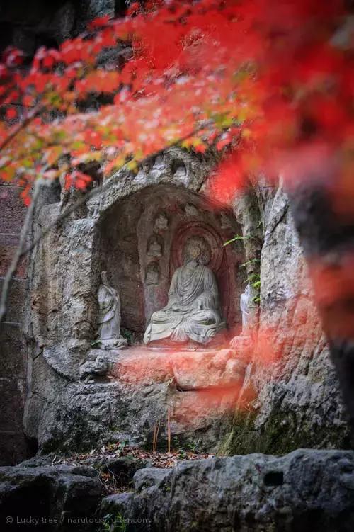 亚洲宜居城市排名2019,中国唯一一个国际评选的宜居城市