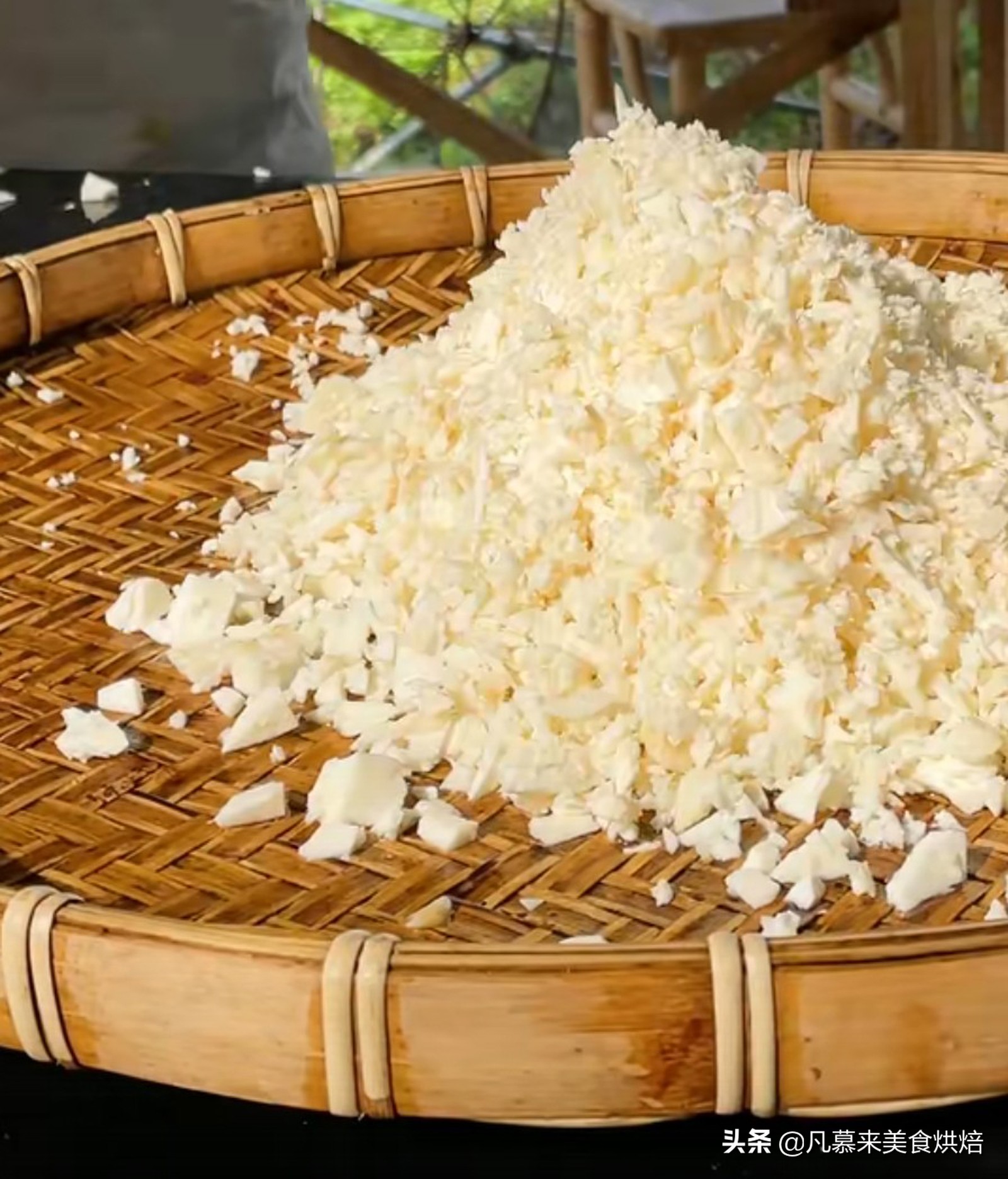 砍回养活了全球6亿人的木薯，做成一道快失传的美食“木薯粉虫”