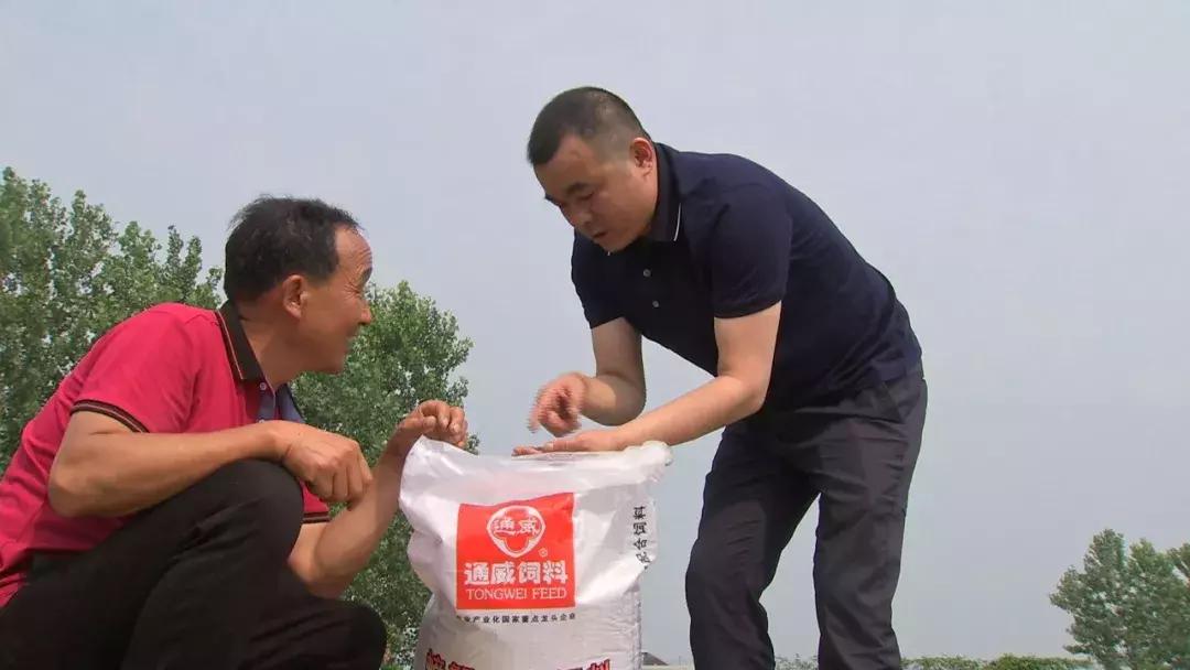 自己跑生意,自己跑业务做什么生意好