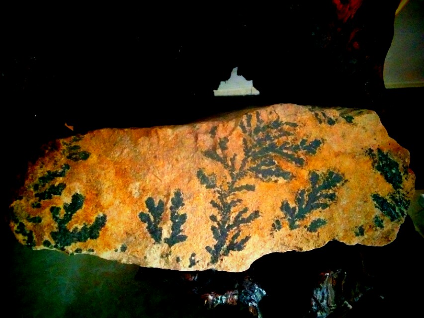 雅石图鉴真品欣赏,中国雅石图鉴大全