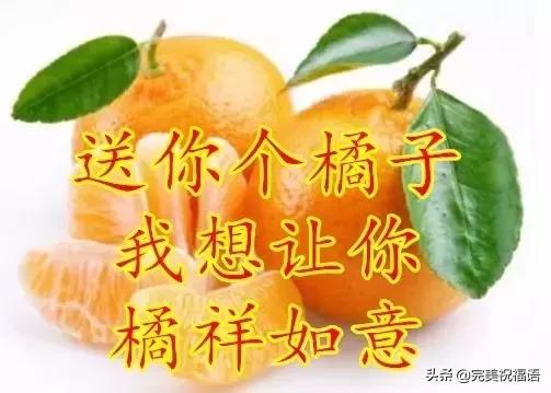 今日芒种愿所有付出都有收获,芒种种下祝福和希望