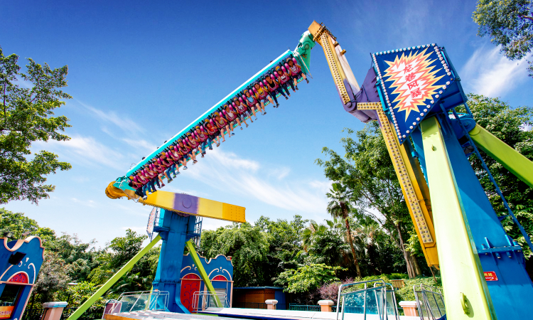 长隆动物园双人票和情侣票,长隆欢乐世界情侣适合吗