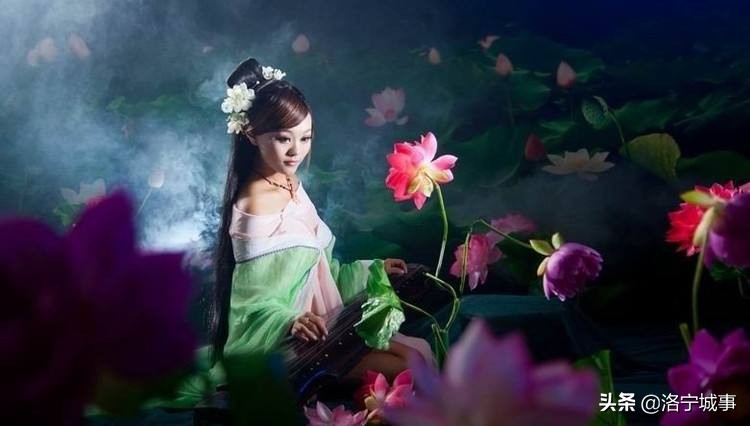 河南洛宁马红军,洛宁马红军咏牡丹视频