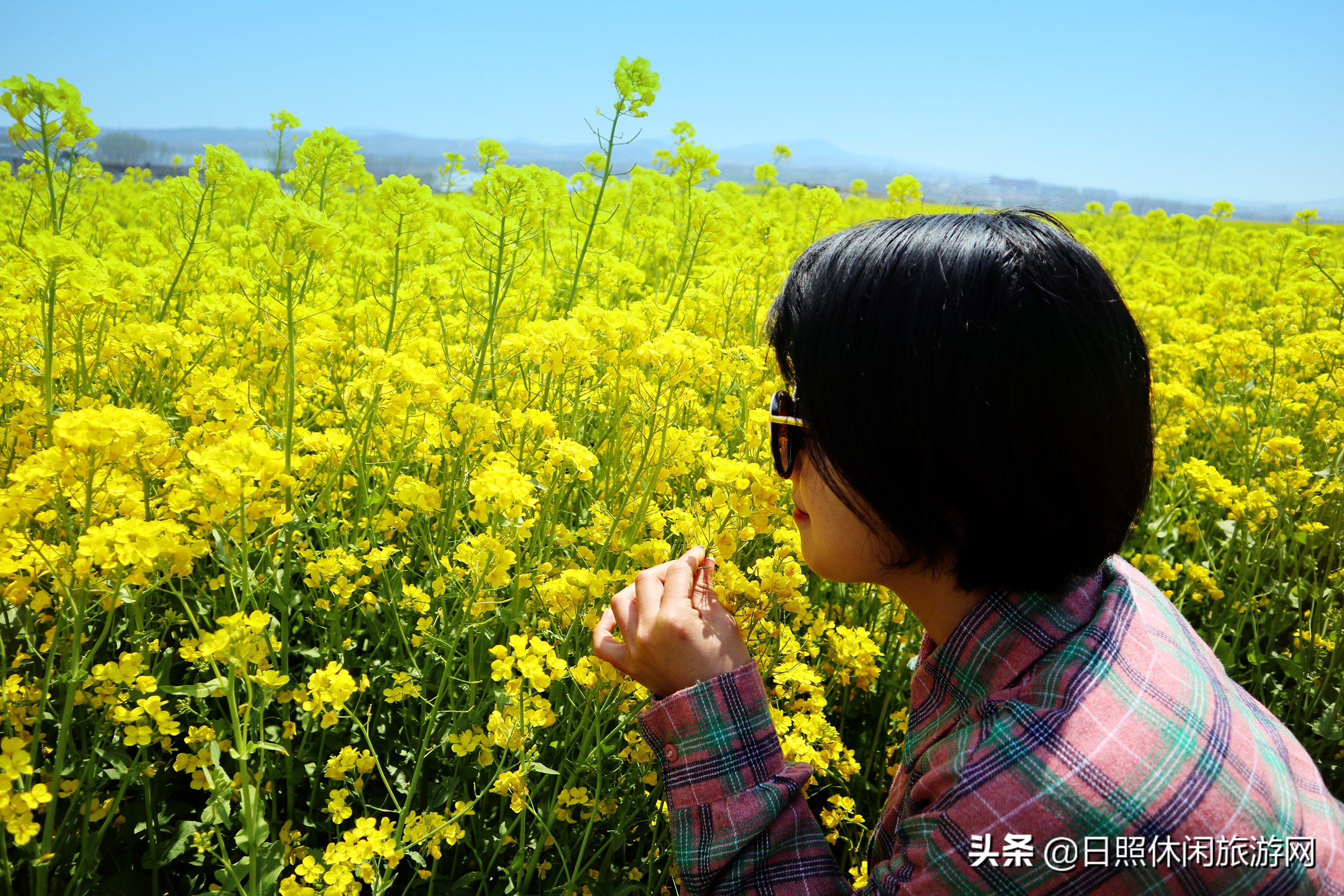 山东日照旅游4-5天详细攻略,去日照旅游应该住在哪里方便游玩
