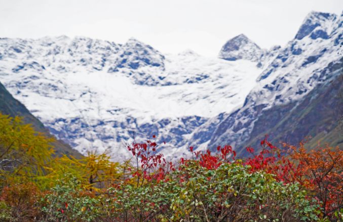 合肥食品安全风险,安徽食品安全问题有哪些