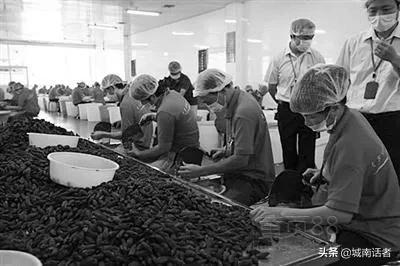 6000万人撑起的槟榔千亿产业，他把癌症卖给你，你还说它提神