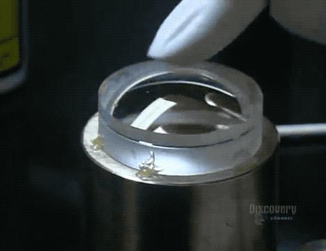 怎么知道网上的视频是不是专业摆拍？