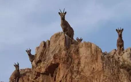鍘熸潵鎴戜滑鐢樿們鏈夎繖涔堢編,浣犱互涓虹殑鐢樿們寰堢編