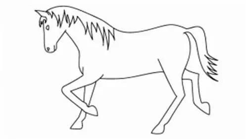 跟猪年有关的谜语,十二生肖谜语简笔画