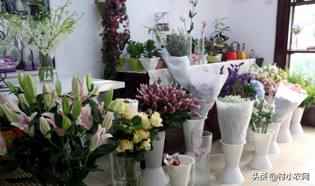 适合农村创业的29个项目,2022乡镇致富新项目