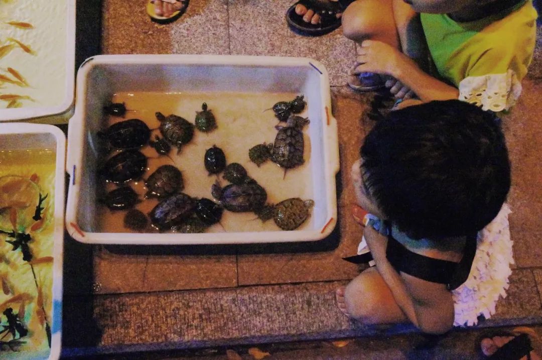 快看，这是魔幻字体的热闹江湖