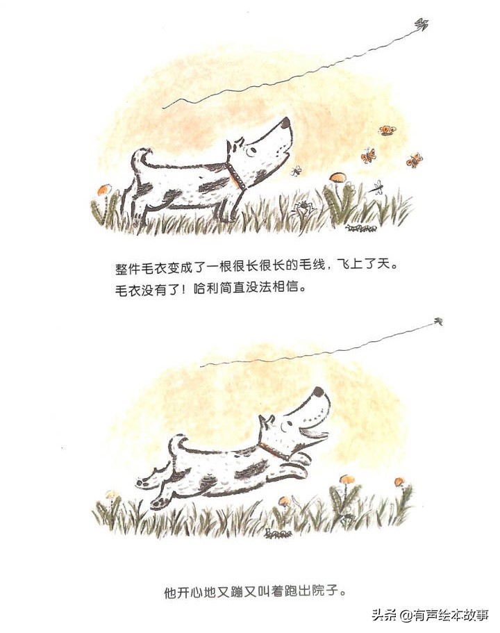 儿童故事哈利的花毛衣,哈利不可以有声绘本故事