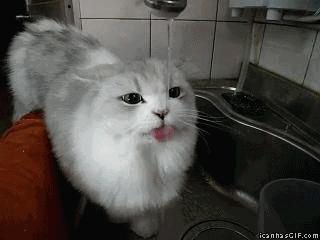 松下nanoex空调杀菌测试,松下空调和nanoex区别