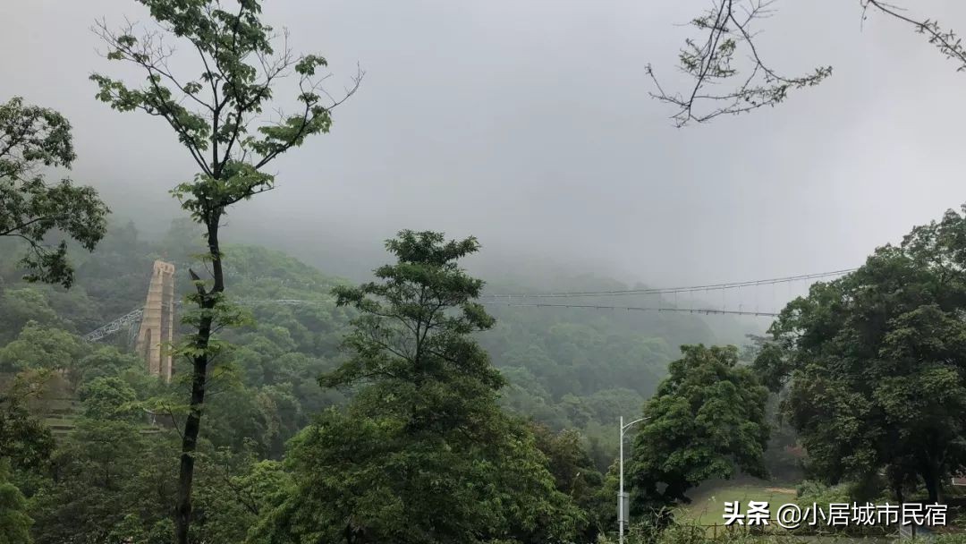 从化旅游景点大全樱花,从化樱花旅游景点