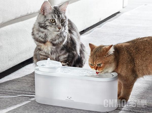 美的猫咪自动饮水机测评,美的猫咪智能饮水机