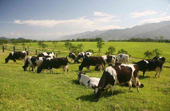 台湾东海岸攻略,台湾自由行旅游路线图攻略