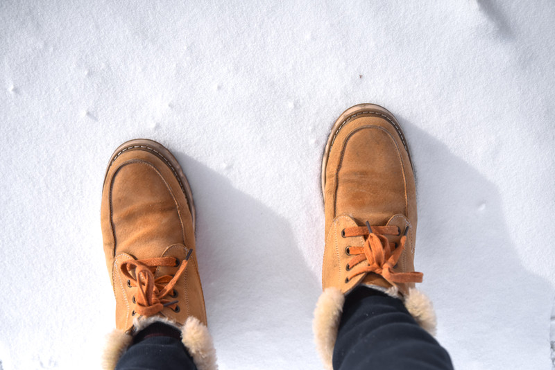 冰雪总动员简介,冰雪总动员