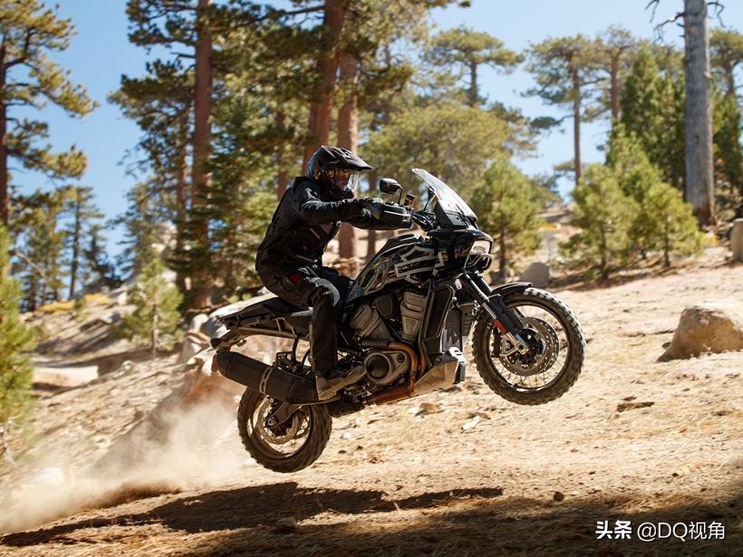 宝马水鸟1250adv和哈雷泛美,水鸟adv和哈雷怎么选