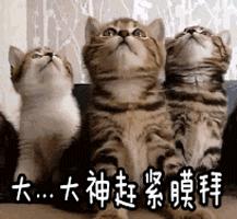 5个资源超好的网站，百度云盘都不够装，最好要悄悄的收藏