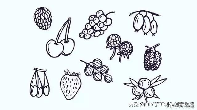画水果大全图片简笔画,水果简笔画和水果切开简笔画