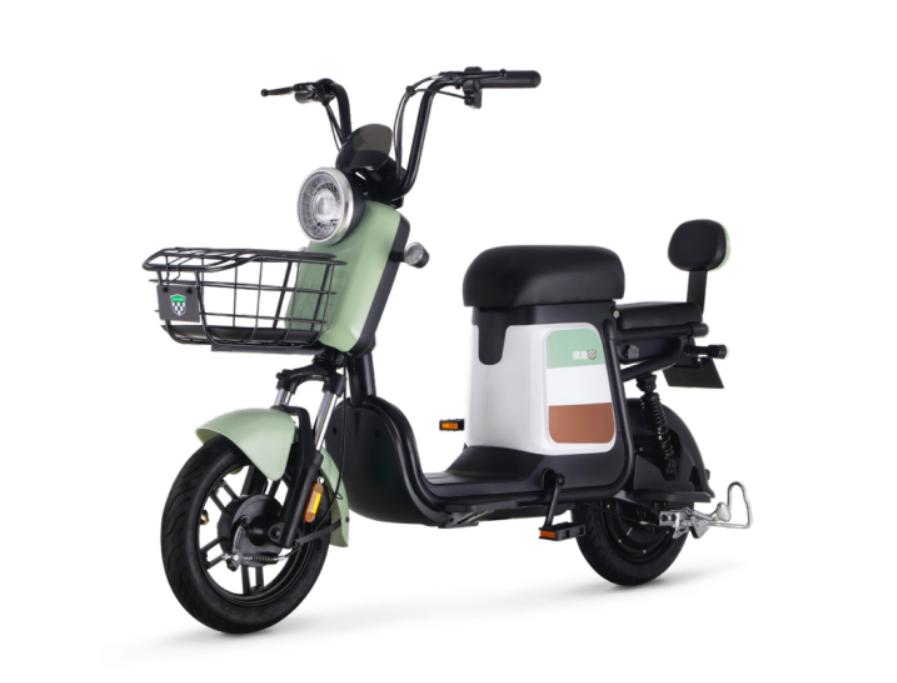 绿源电动自行车2021年新品,电动自行车品牌排行榜前十名